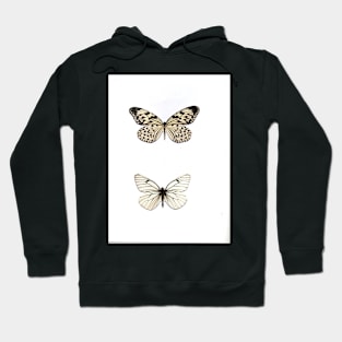 white butterfly butterflies natural history specimen poster print black white graphic Hoodie